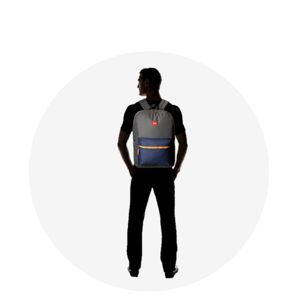 Regular Backpack / Grey Navy