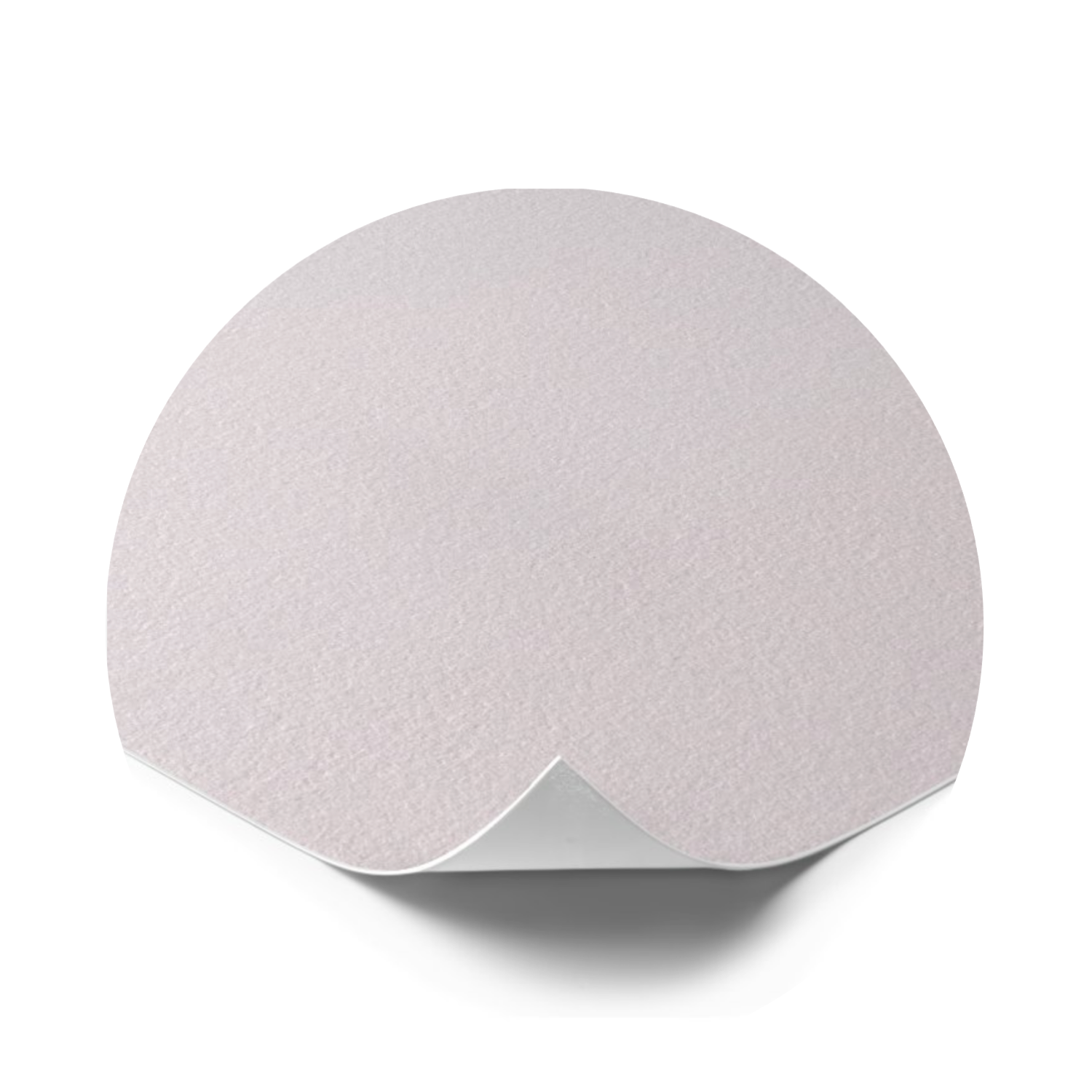 Gold Bunny / Giclee Print